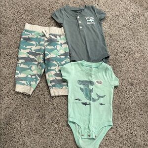 9month carters set